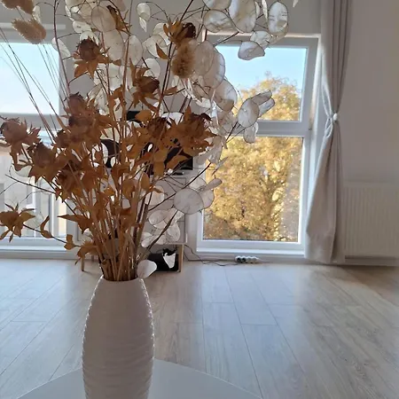 Apartment Soul In The Center Of Szczecin